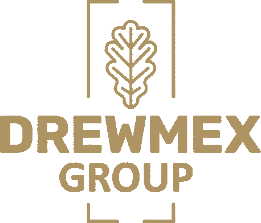 Logo Drewmex